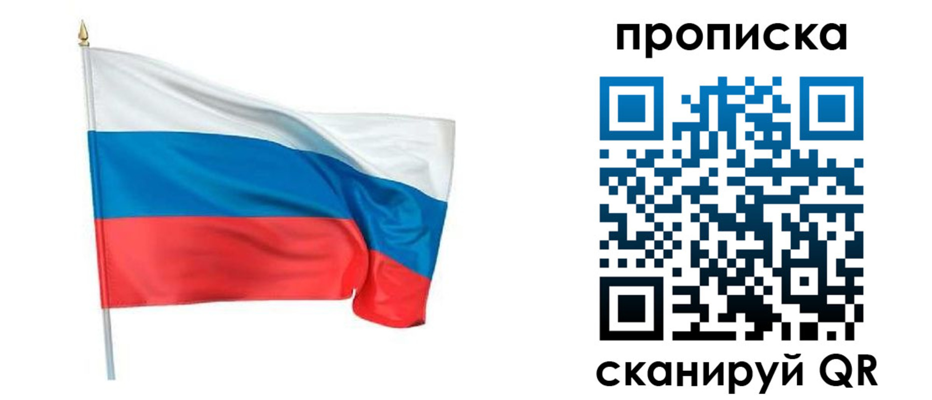 временная регистрация гарантия в Курске